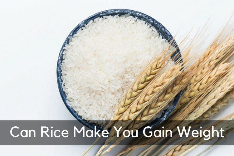 Can_Rice_Make_You_Gain_Weight