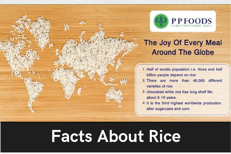 Rice Facts