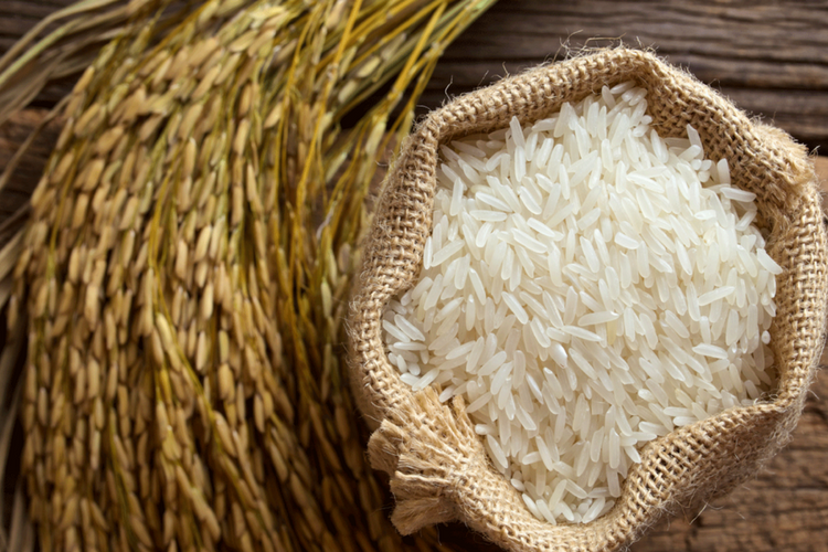 Does White Rice Contain Protein?