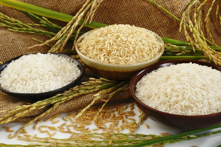 Rice Grain for General Purposes